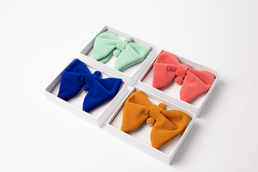 Nœud papillon velour