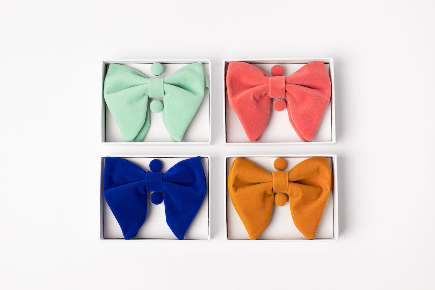 Nœud papillon velour
